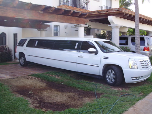 limousine escalade